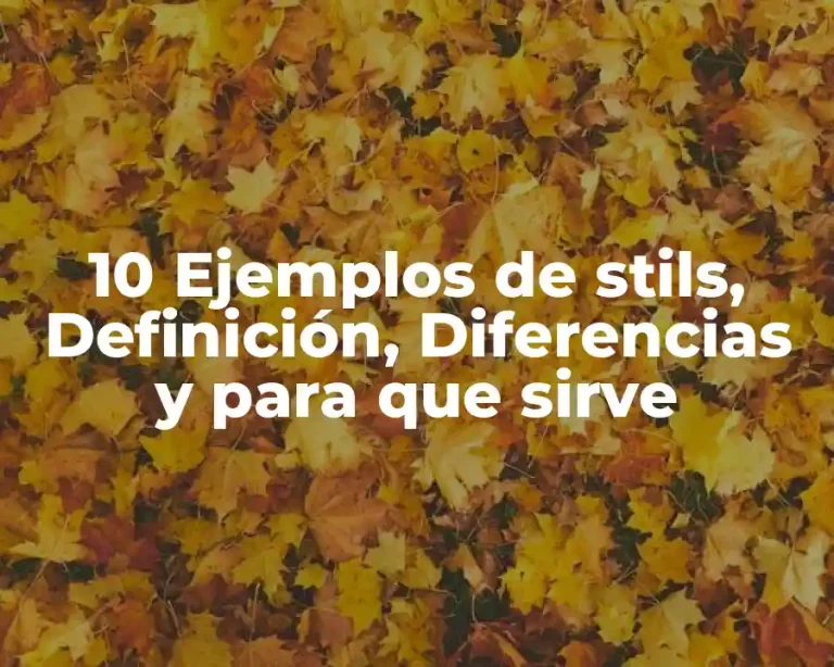 10 Ejemplos de stils, Definición, Diferencias y para que sirve