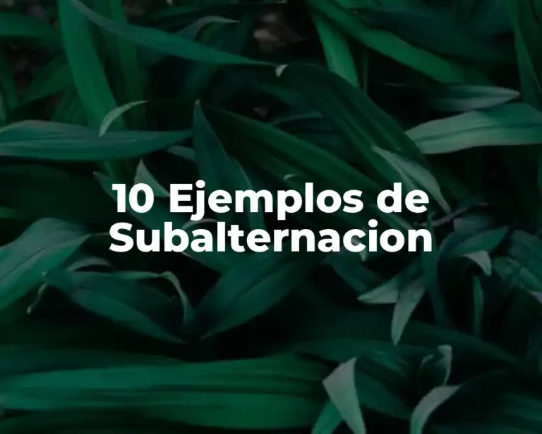 10 Ejemplos de Subalternacion