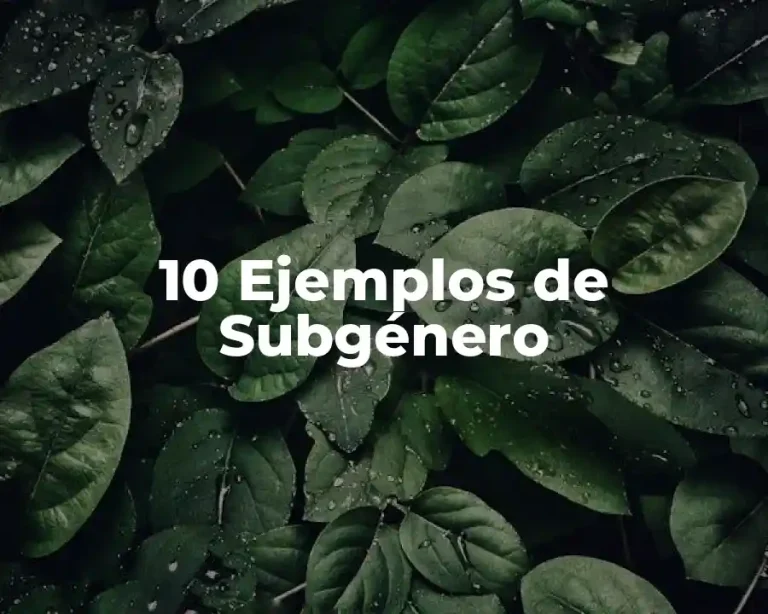 10 Ejemplos de Subgénero