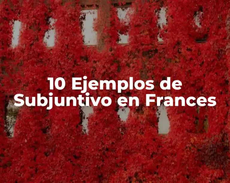 10 Ejemplos de Subjuntivo en Frances