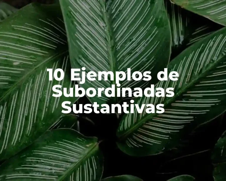 10 Ejemplos de Subordinadas Sustantivas