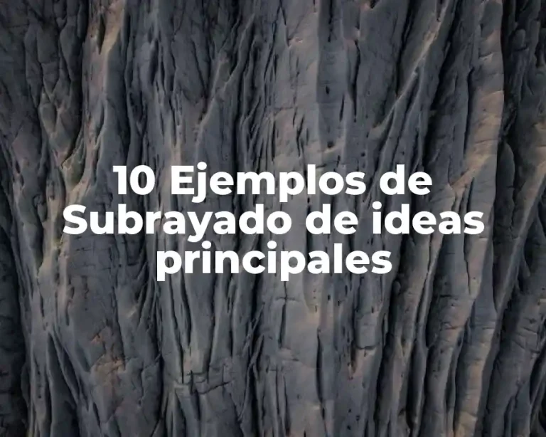 10 Ejemplos de Subrayado de ideas principales