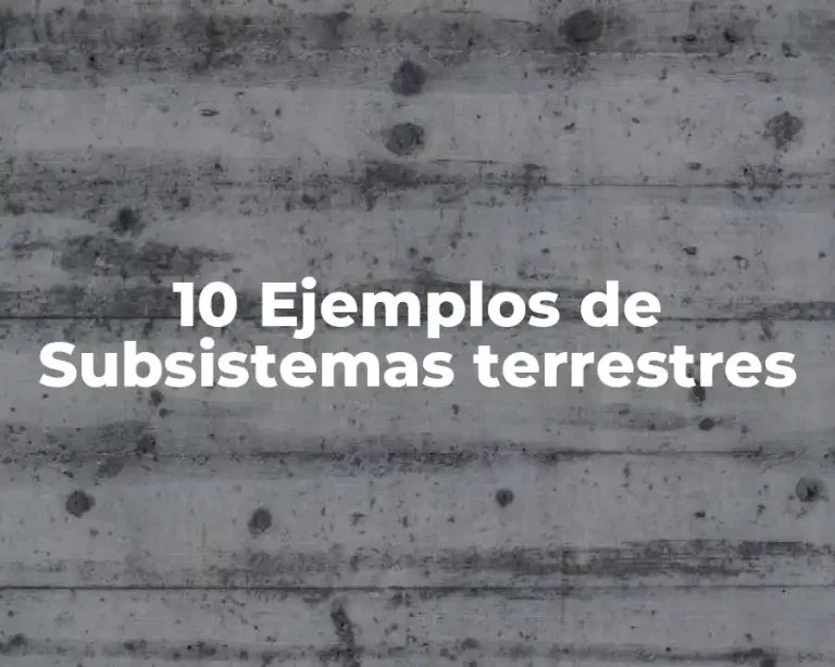 10 Ejemplos de Subsistemas terrestres