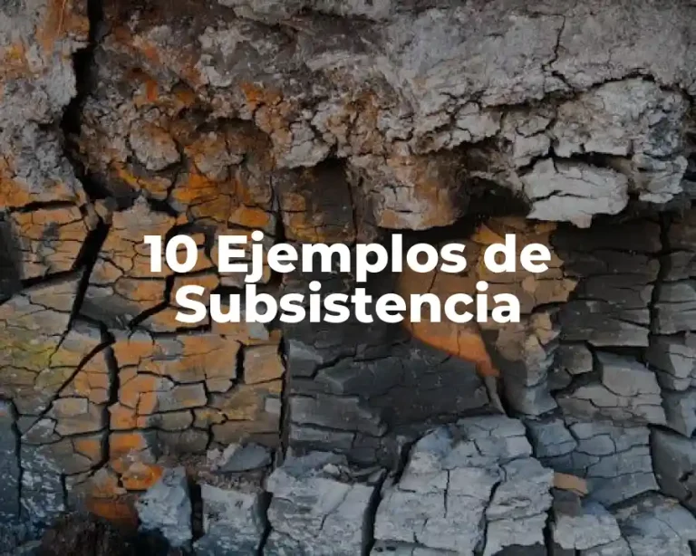 10 Ejemplos de Subsistencia