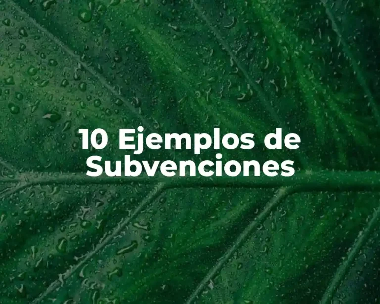 10 Ejemplos de Subvenciones