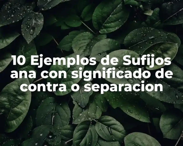 10 Ejemplos de Sufijos ana con significado de contra o separacion