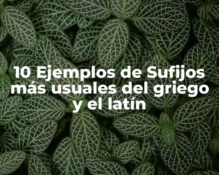 10 Ejemplos de Sufijos más usuales del griego y el latín