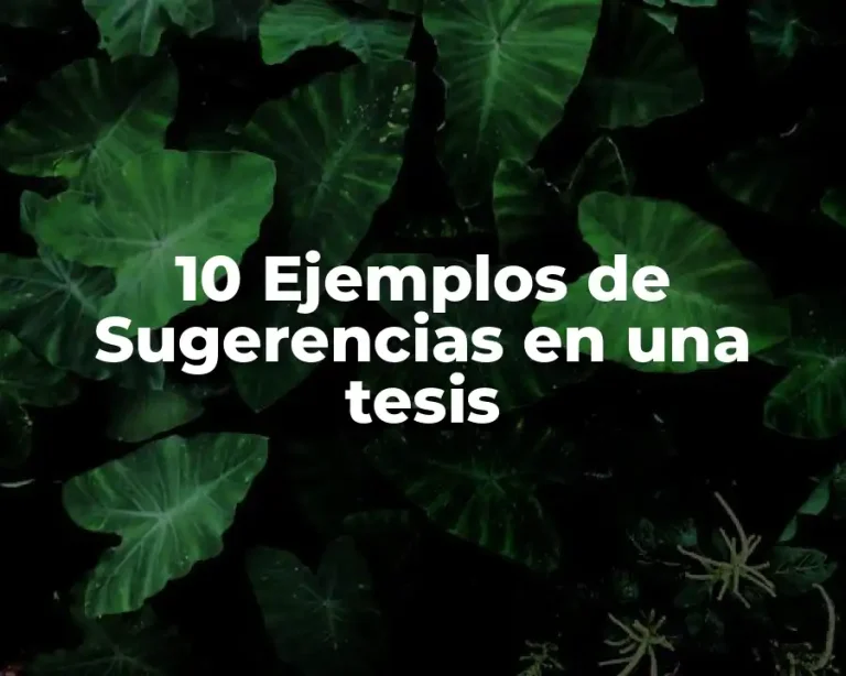 10 Ejemplos de Sugerencias en una tesis