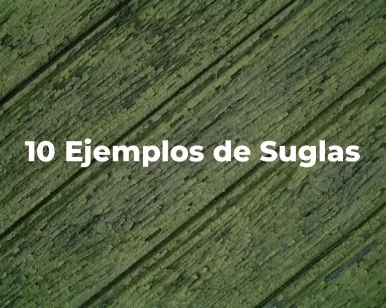 10 Ejemplos de Suglas