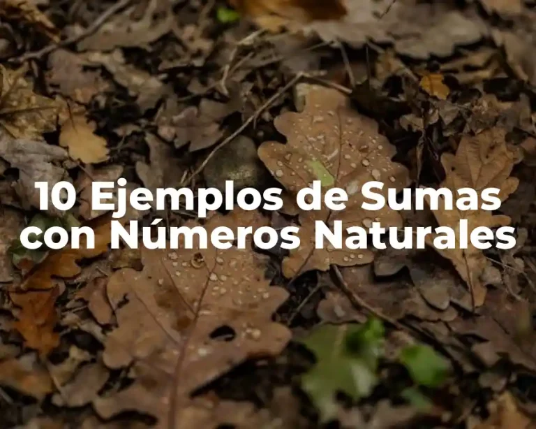 10 Ejemplos de Sumas con Números Naturales