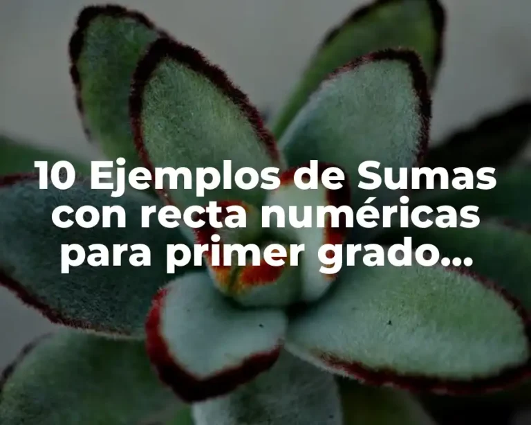 10 Ejemplos de Sumas con recta numéricas para primer grado primaria