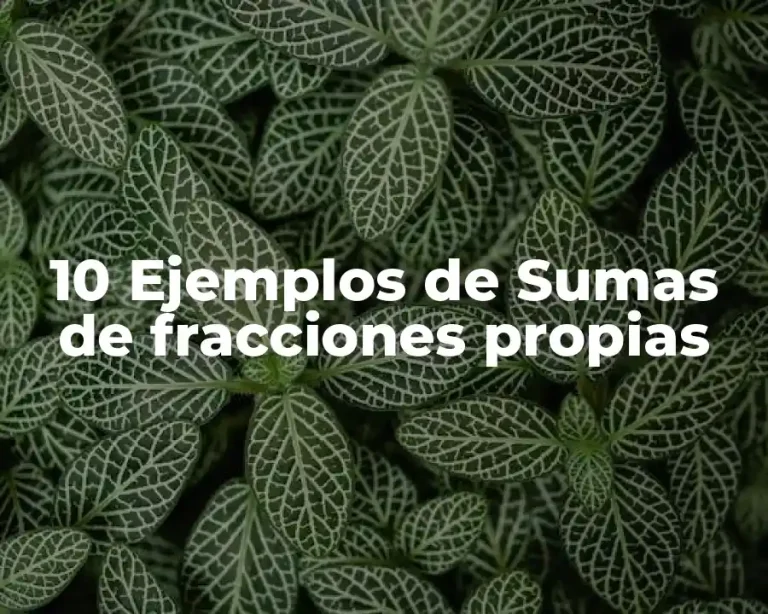 10 Ejemplos de Sumas de fracciones propias