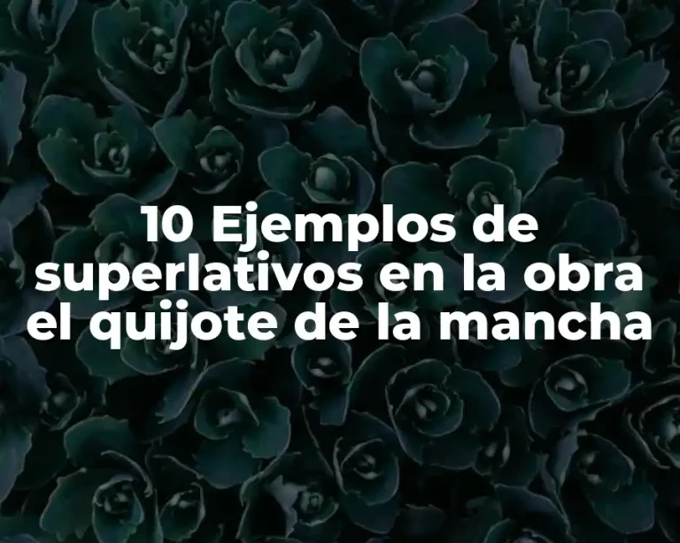10 Ejemplos de superlativos en la obra el quijote de la mancha