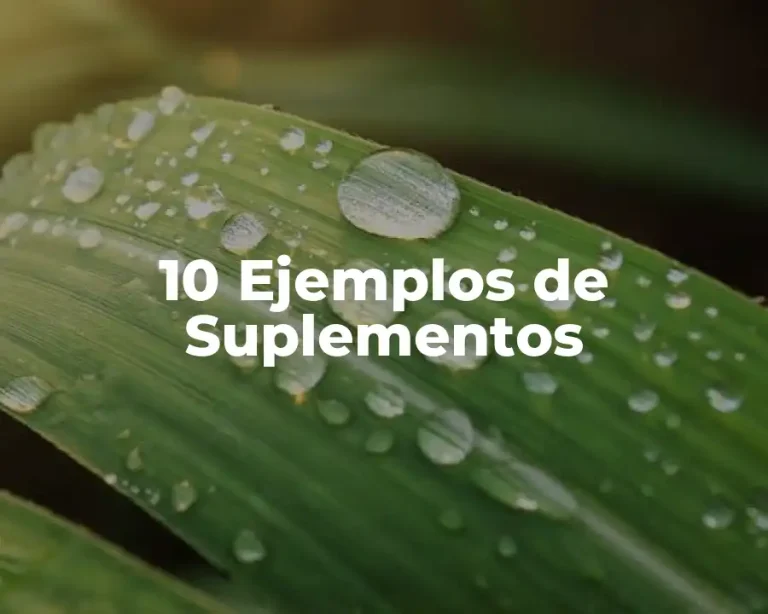 10 Ejemplos de Suplementos