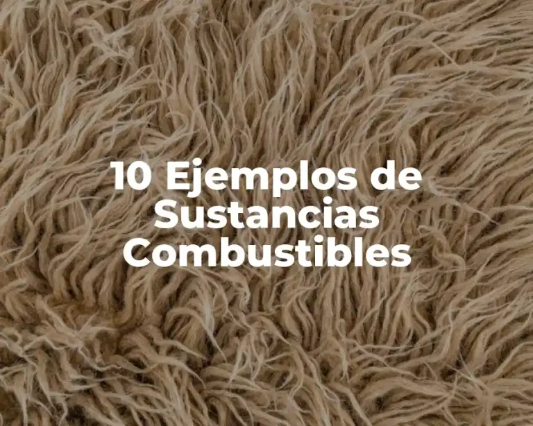 10 Ejemplos de Sustancias Combustibles