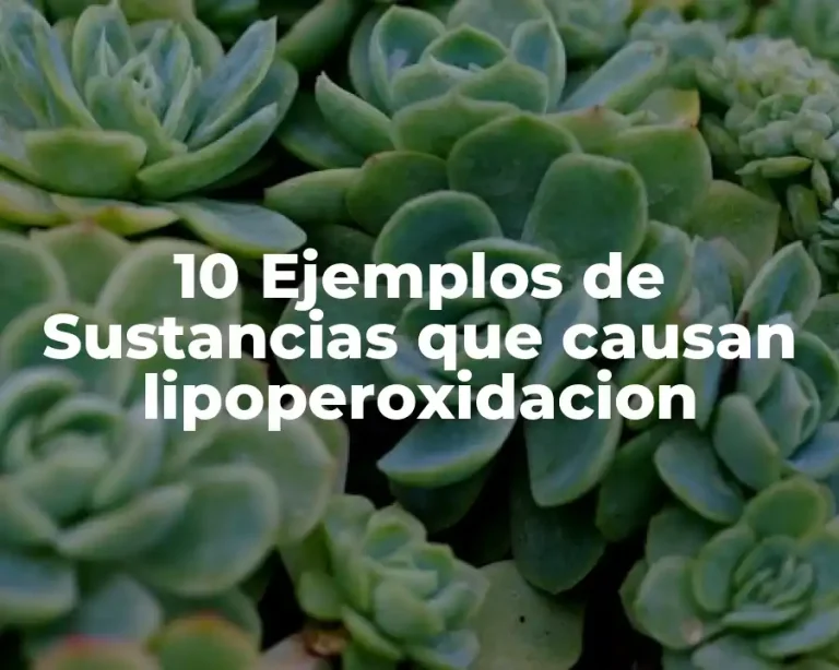 10 Ejemplos de Sustancias que causan lipoperoxidacion