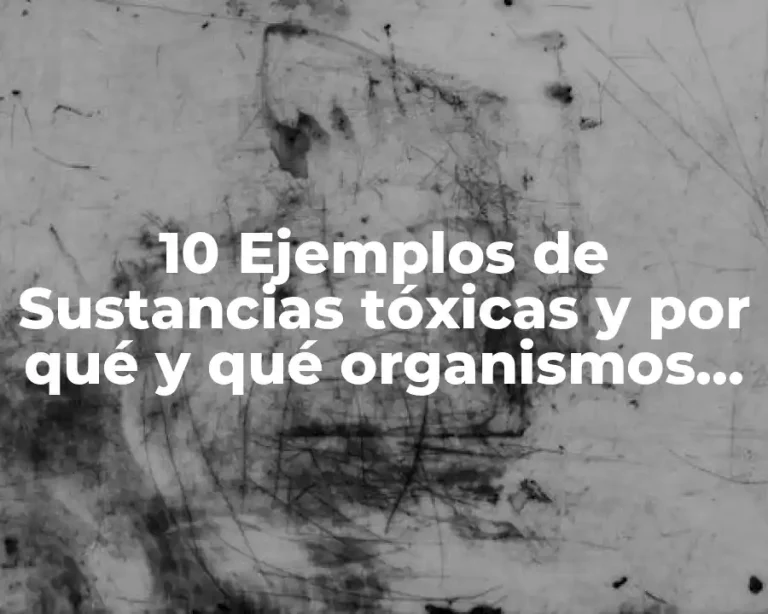10 Ejemplos de Sustancias tóxicas y por qué y qué organismos afectan