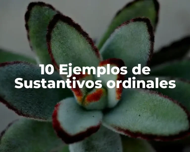 10 Ejemplos de Sustantivos ordinales