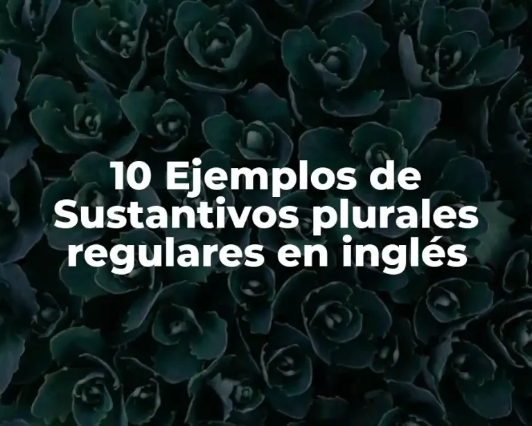 10 Ejemplos de Sustantivos plurales regulares en inglés