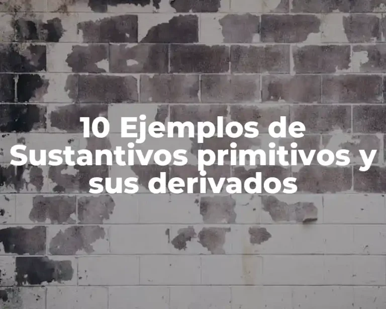 10 Ejemplos de Sustantivos primitivos y sus derivados