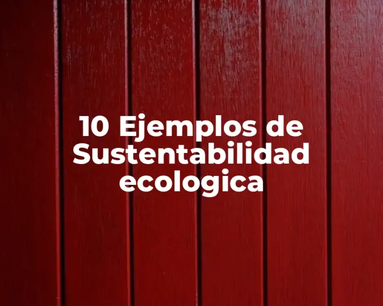 10 Ejemplos de Sustentabilidad ecologica