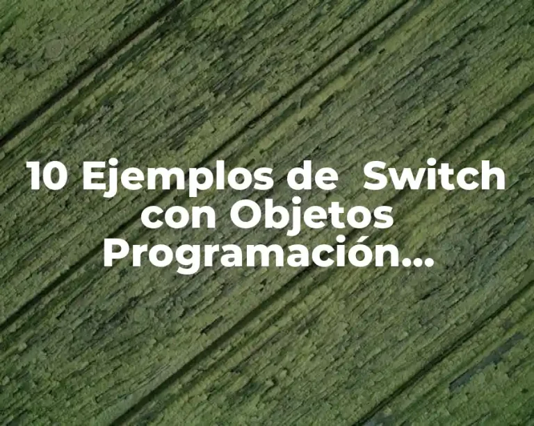 10 Ejemplos de  Switch con Objetos Programación Orientada a Objetos