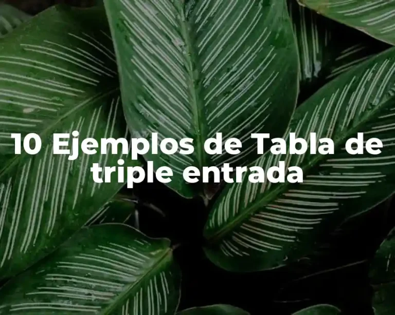 10 Ejemplos de Tabla de triple entrada