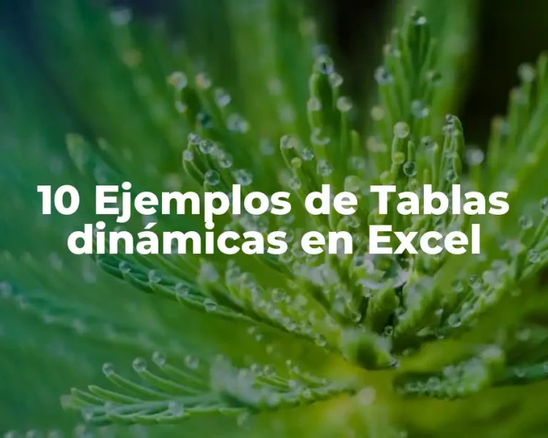 10 Ejemplos de Tablas dinámicas en Excel