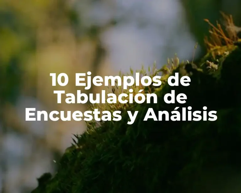 10 Ejemplos de Tabulación de Encuestas y Análisis