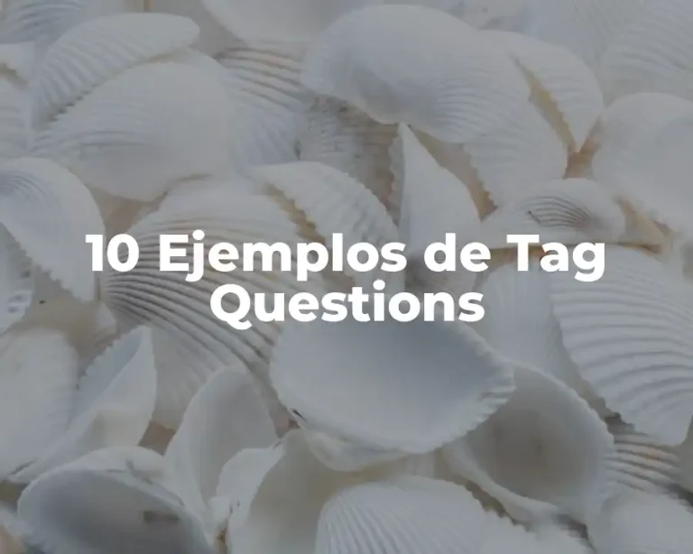 10 Ejemplos de Tag Questions