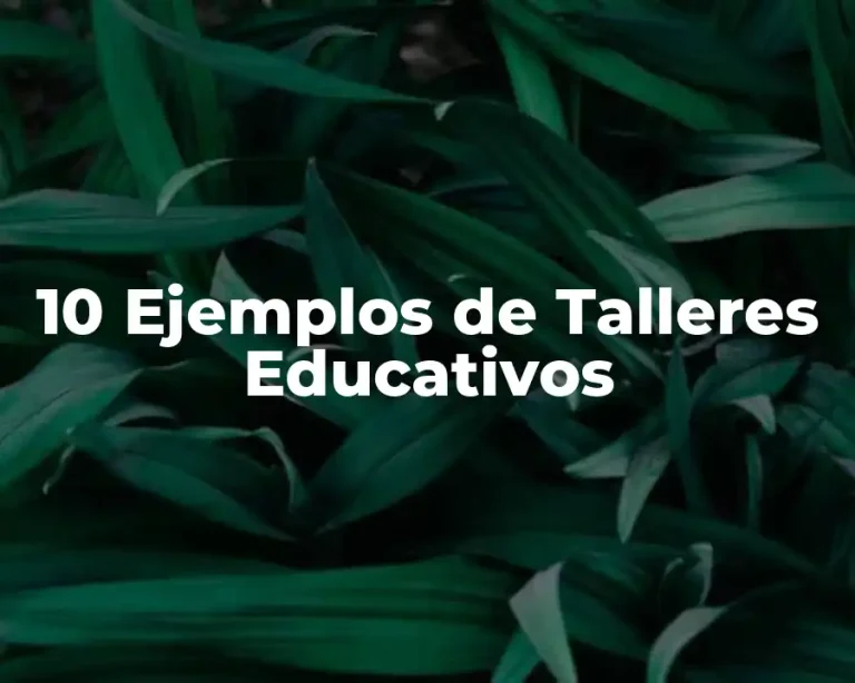10 Ejemplos de Talleres Educativos