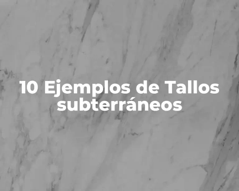 10 Ejemplos de Tallos subterráneos