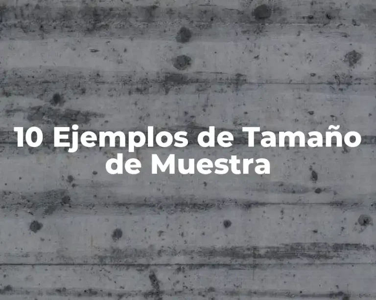 10 Ejemplos de Tamaño de Muestra