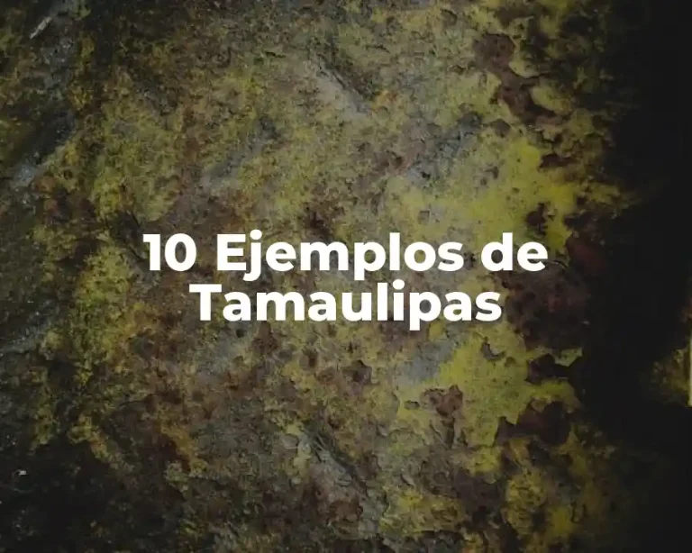 10 Ejemplos de Tamaulipas