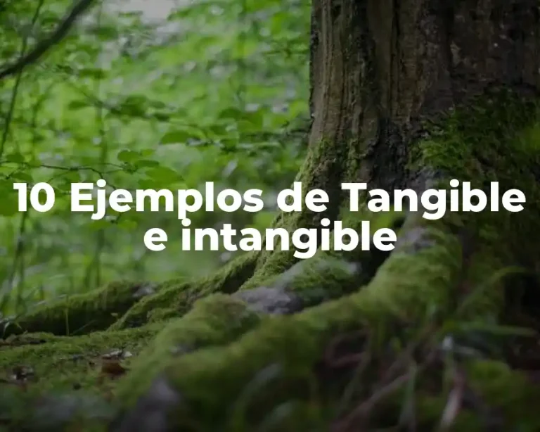 10 Ejemplos de Tangible e intangible