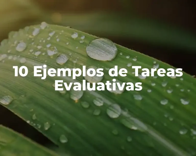 10 Ejemplos de Tareas Evaluativas