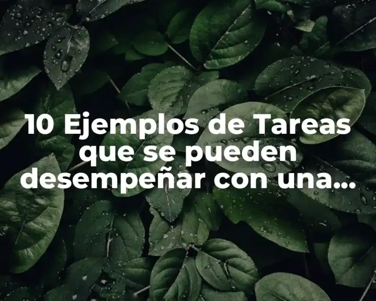 10 Ejemplos de Tareas que se pueden desempeñar con una computadora