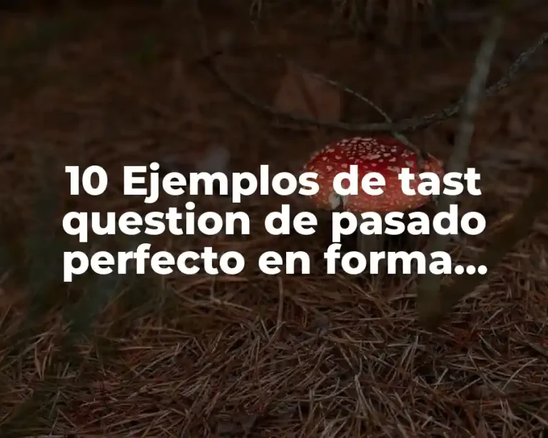 10 Ejemplos de tast question de pasado perfecto en forma negativa