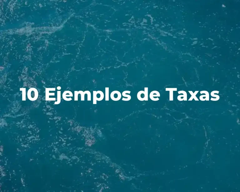 10 Ejemplos de Taxas