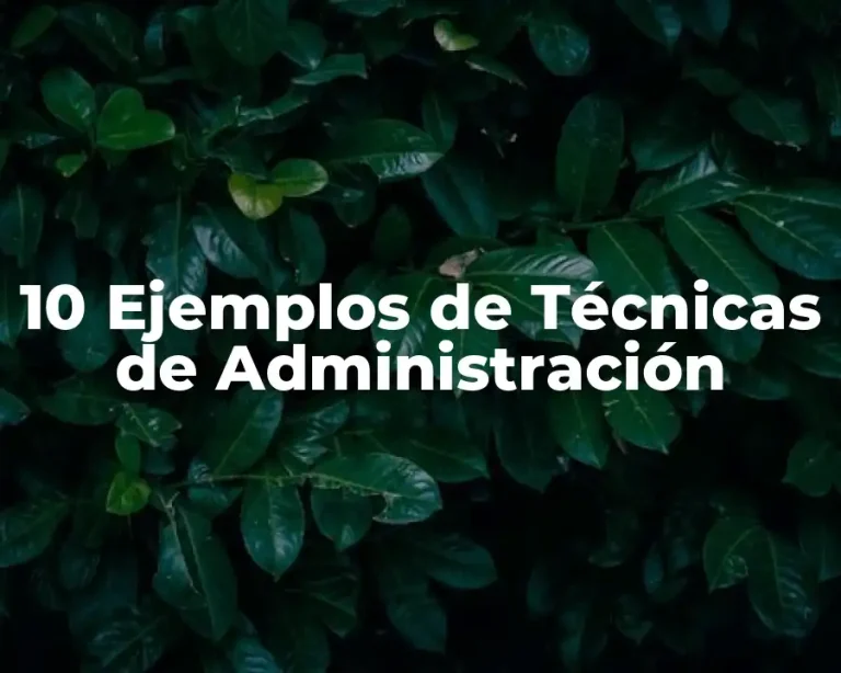 10 Ejemplos de Técnicas de Administración