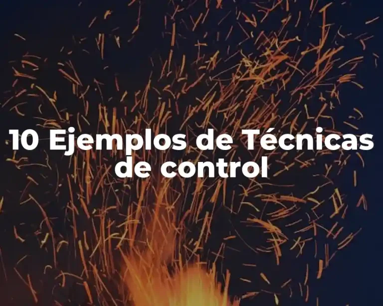 10 Ejemplos de Técnicas de control