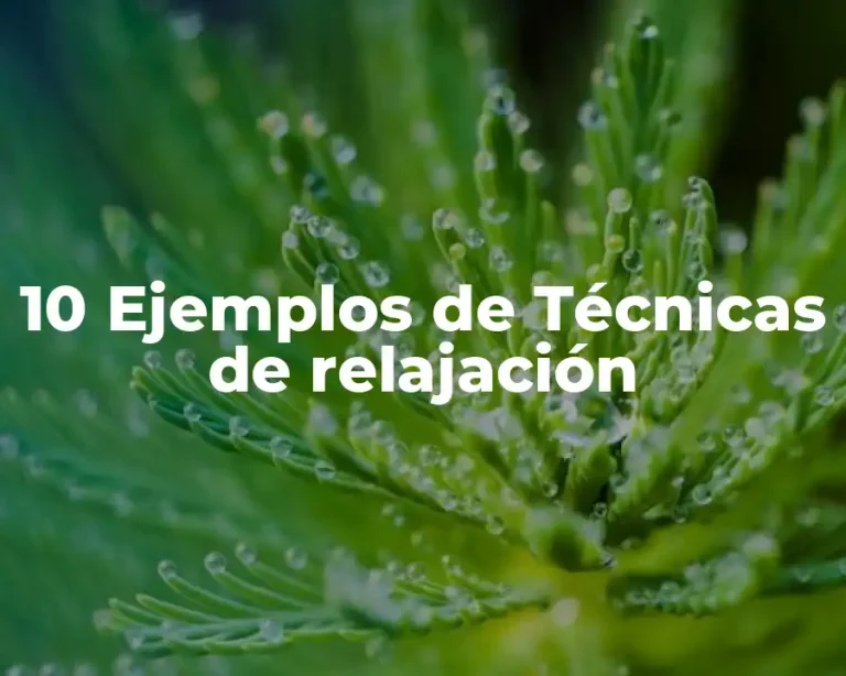 10 Ejemplos de Técnicas de relajación