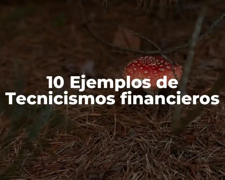10 Ejemplos de Tecnicismos financieros