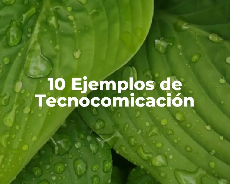 10 Ejemplos de Tecnocomicación