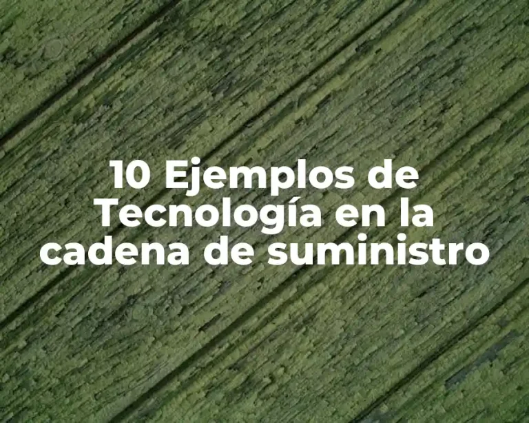 10 Ejemplos de Tecnología en la cadena de suministro