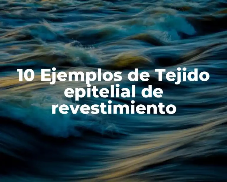10 Ejemplos de Tejido epitelial de revestimiento