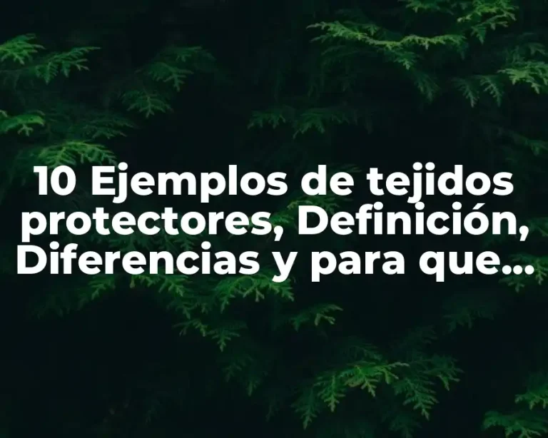 10 Ejemplos de tejidos protectores, Definición, Diferencias y para que sirve