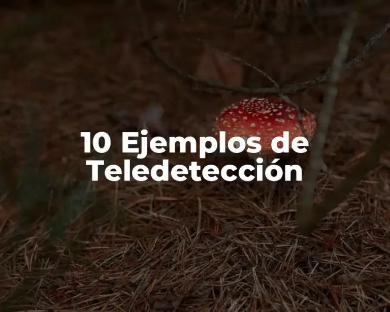10 Ejemplos de Teledetección