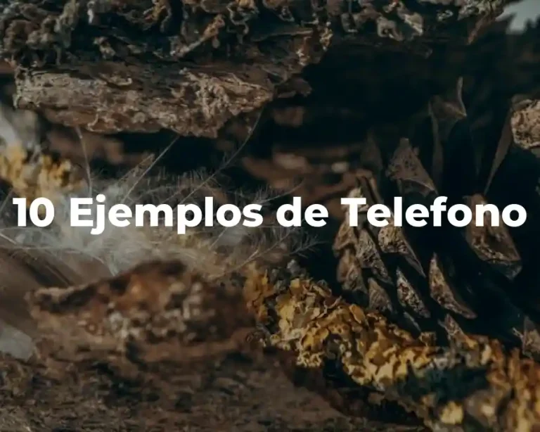 10 Ejemplos de Telefono