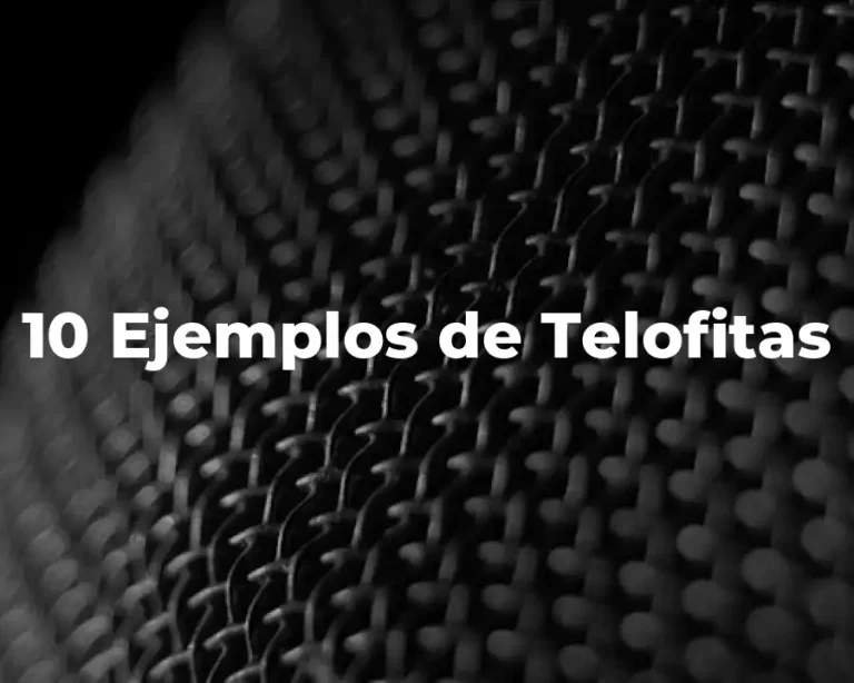 10 Ejemplos de Telofitas